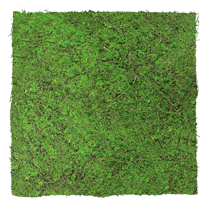 Nature Flora Wandpaneel | Modular Wall von Jangal | Forest Green Ancient Tree | 520 x 520mm