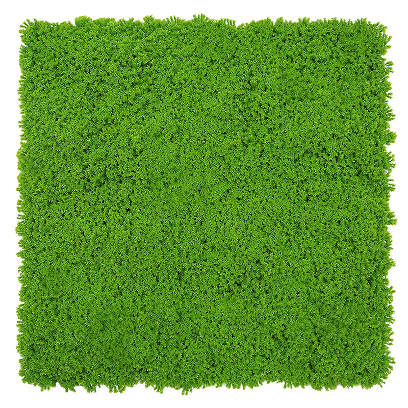 Design Moos Wandpaneel | Modular Wall von Jangal | Lime Green | 520 x 520mm