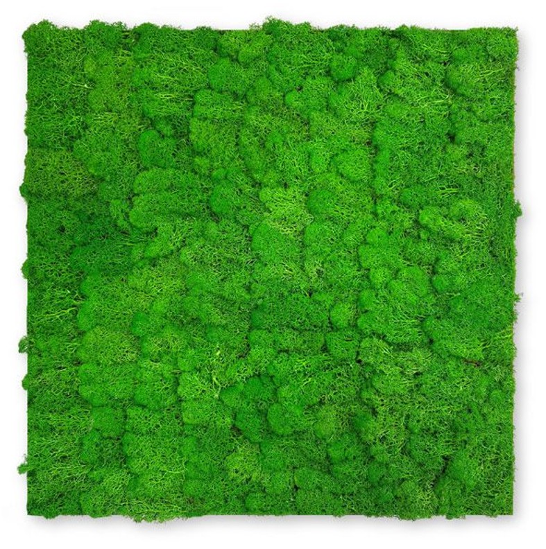 Nature Moos Wandpaneel | Modular Wall von Jangal | Rich Green Moos | 520 x 520mm