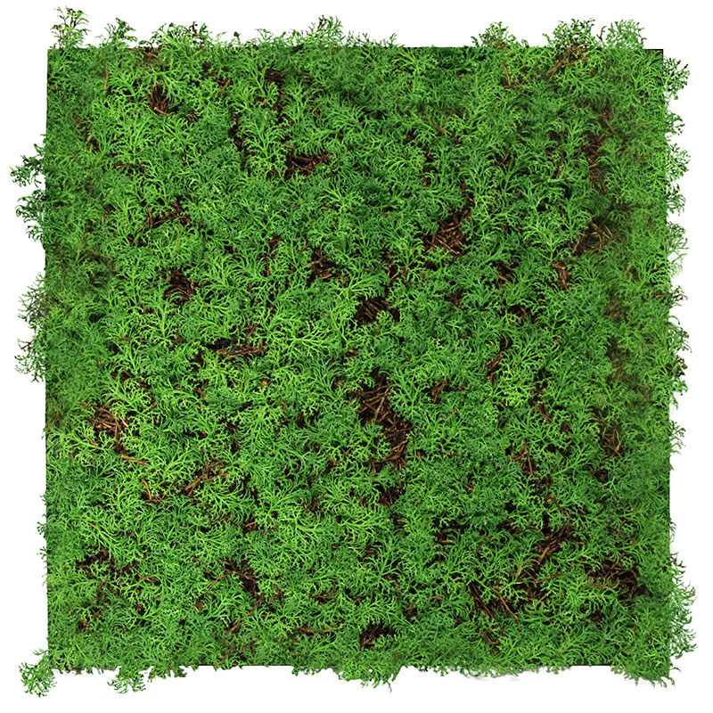 Nature Flora Wandpaneel | Modular Wall von Jangal | Thuja Tea Tree | 520 x 520mm