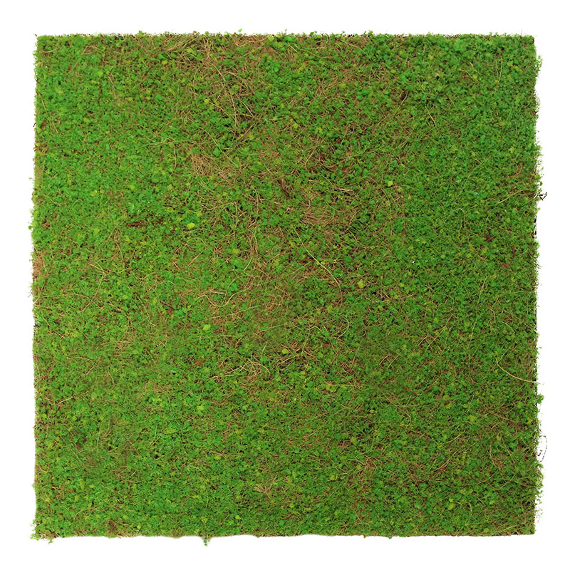 Nature Flora Wandpaneel | Modular Wall von Jangal | Light Green Coconut | 520 x 520mm