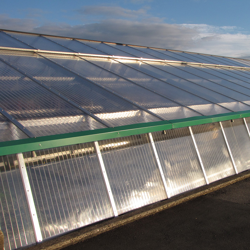 Plexiglas Alltop Stegplatten im Gewächshausbau