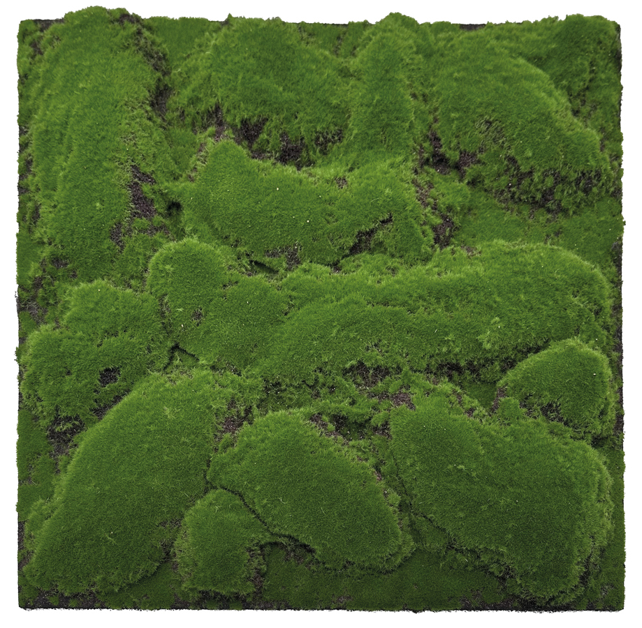 Design Moos Wandpaneel | Modular Wall von Jangal | Forest Green Big Bulk | 520 x 520mm